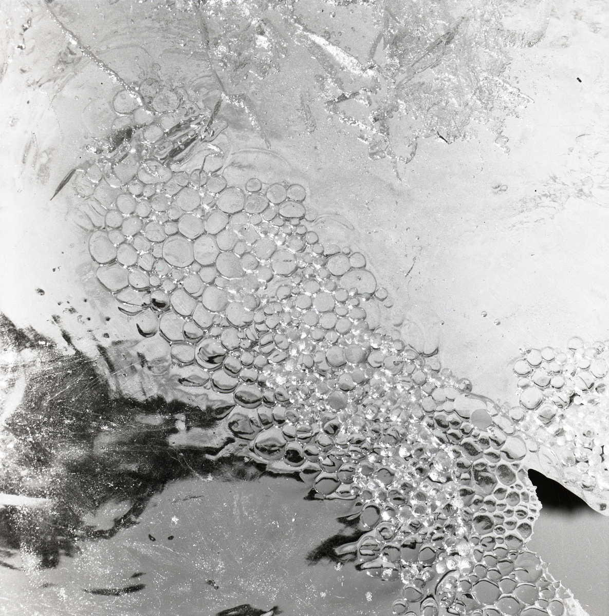 Vattenbubblor fångade under ett lager is på videstam den 8 april 1956.