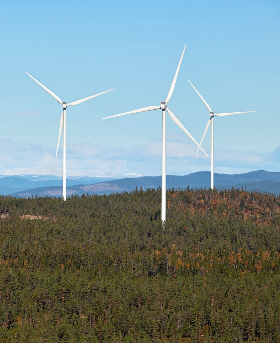 Fra «Austri Raskiftet» – en energiproduserende vindmøllepark på høydedragene vest for Osensjøen i Hedmark – fotografert fra Ulvsjøberget mot Raskiftet i september 2018.  Bildet viser tre av vindmøllene, slik de rager over det skogkledde landskapet.  Det er Stadtwerke München (60 %), Eidsiva Energi (20 %) og Gudbrandsdal Energi (20 %) som investerer i dette utbyggingsprosjektet, men det praktiske utbyggingsarbeidet administreres av det svenske vindkraftselskapet OX2.  Prosjektet berører et areal cirka 27 kvadratmeter i skoglandskapet i grensetraktene mellom Åmot og Trysil kommuner, og vindmøllene plasseres høyt i terrenget, på Raskiftet, Ulvsjøberget og Halvorsberget, omkring 800 meter over havet.  Anleggsarbeidet startet i august 2016, og vindmøllene skal levere energi fra vinteren 2018-2019.  Dersom kalkylene stemmer, vil produksjonen bli cirka 340 GWh per år.  Investeringsbudsjettet er på 1 400 millioner kroner, hvorav cirka to tredeler er avsatt til bygging av 37 vindturbiner med navhøyde på 112 meter og rotordiameter 112 meter. Rotorene vil altså nå opptil 175 meter over bakkenivå.  I forbindelse med prosjektet bygges om lag 30 kilometer med anleggsveger i området.  Dette er det største byggeprosjektet og det visuelt mest iøynefallende byggesaken som noen gang har vært realisert i Trysil kommune.  Inngrepene i skoglandskapet har vakt debatt.  Ordførerne i de to vertskommunene har poengtert at vindmøllene skal produsere fornybar energi, at den vil gi lokale arbeidsplasser og inntekter til kommunekassene.  De kontraktfestete kraftinntektene blir på mellom 10 og 11 millioner, og fordeles med en tredel på Åmot og to tredeler på Trysil.  Konsesjon for dette vindkraftverket ble innvilget sommeren 2015, i første omgang for 25 år. Raskiftet Vindkraftverk. Vindpark.