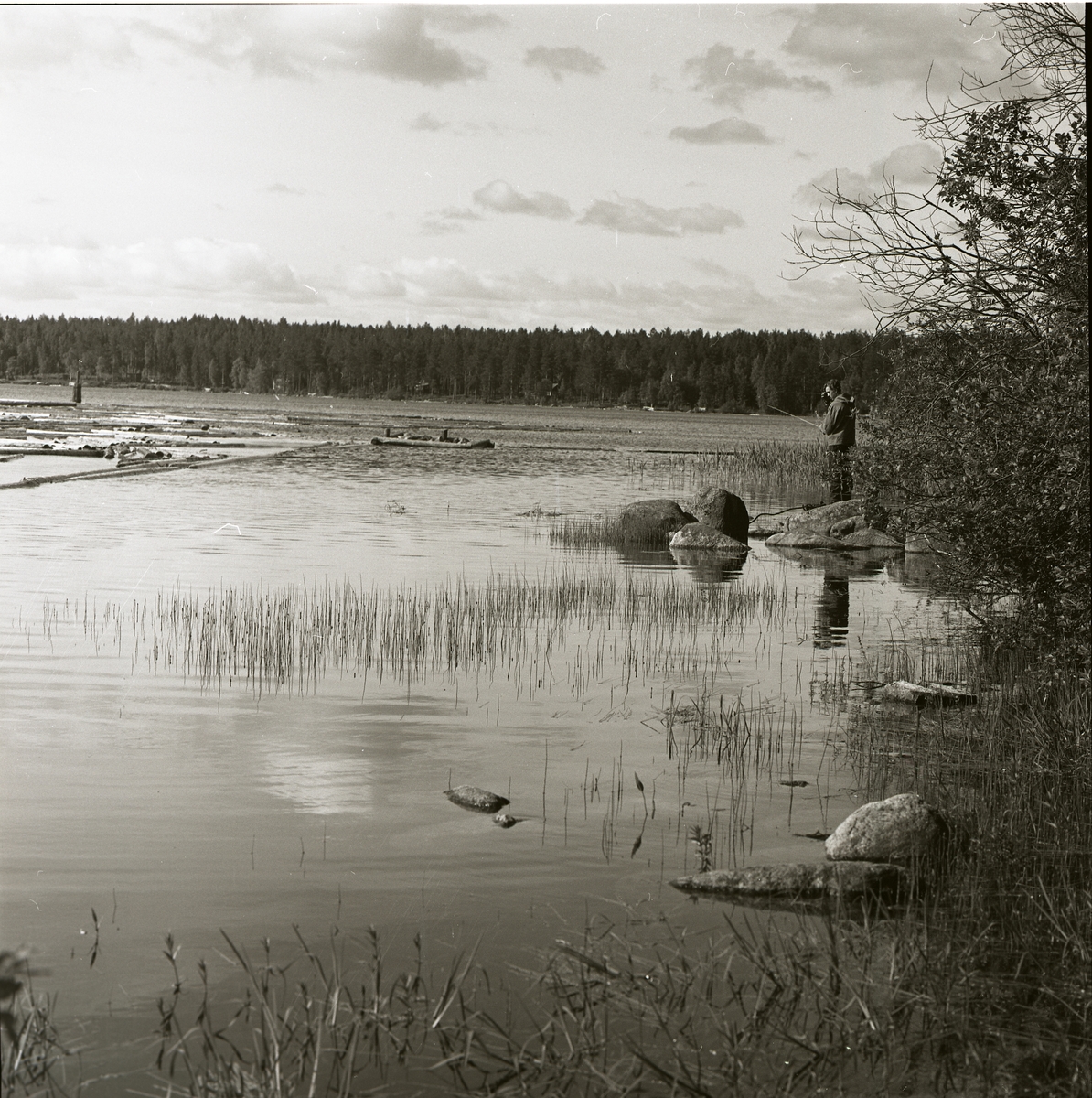 Vid strandkanten står en man och fiskar i Norrboån 1965. Ute i vattnet ligger timmer. Någon paddlar kanot.
