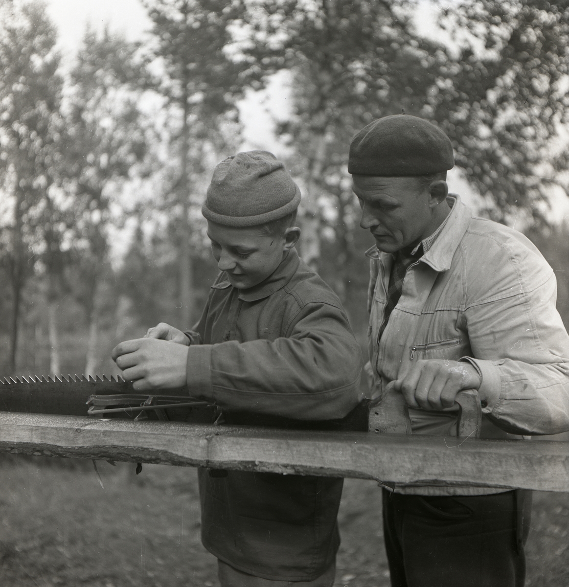 En man ser på en pojke som filar eggen på en såg i Norrvåga, 1953.