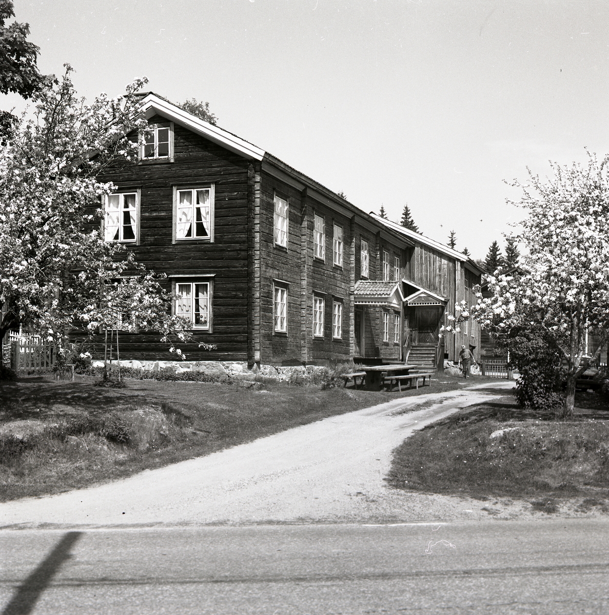 Två timrade hus med fönster, förstukvistar, sadeltak och en bänk står på en gård. Det finns äppelblommande träd och en grusväg i trädgården vid Hembygdsbyn, 7 juni 1979.