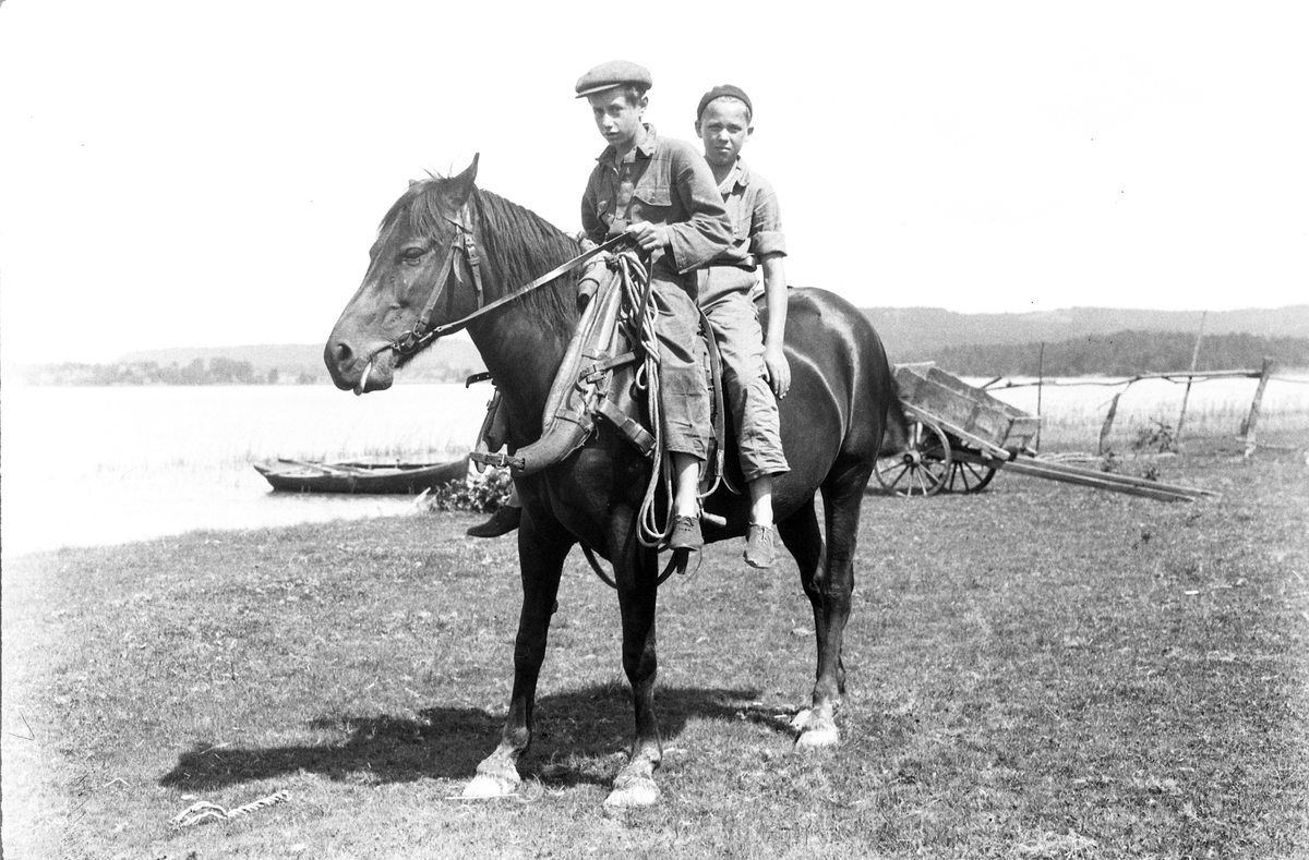 Två pojkar rider på en häst. I fotografens anteckningar står det "35 films fr. semester på Halö".