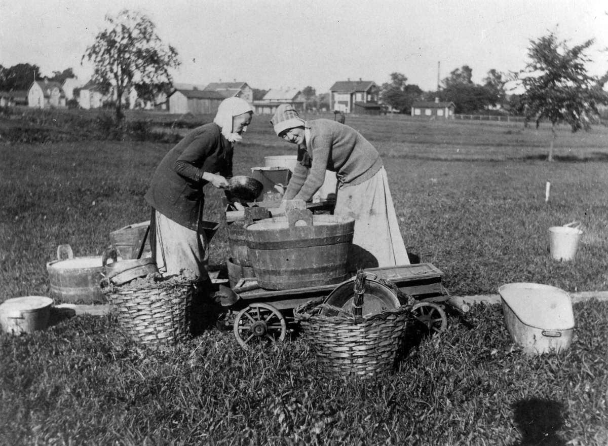 Två kvinnor håller på med tillverkning av potatismjöl. Mjölet tillverkas genom att potatisen rivs och mals. Bilden är troligen tagen strax utanför Alingsås under första världskriget.