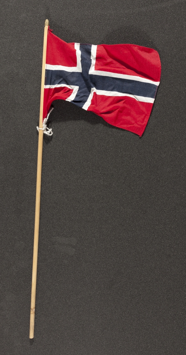 Flagg innsamlet etter terrorhandlingen 22. juli 2011 fra minnesmarkeringene i Lillestrøm. 

Klassisk norsk flagg slik vi kjenner det fra 17.mai feiringer: Blått kors i midten, hvitt kors som "omkranser" det blå (litt tynnere fargefelt) på en rød bakgrunn, de blå og hvite korset går helt til kanten av flagget. Dimensjonene på feltene er slik at de to røde felten mot pinnen er halvparten så store som de to ytterste røde feltene. Sømmene er sydd med rød tråd. Flagget brukes av både barn og voksne. Det erknyttet en hvit og gullfarget (tvunnet) tråd i en sløyfe på pinnen rett under flagget.
Flagget er veldig skrukkete, pinnen er skitten nederst som om den har vært plantet i jorden. Tuppen er gullfarget og slitt.