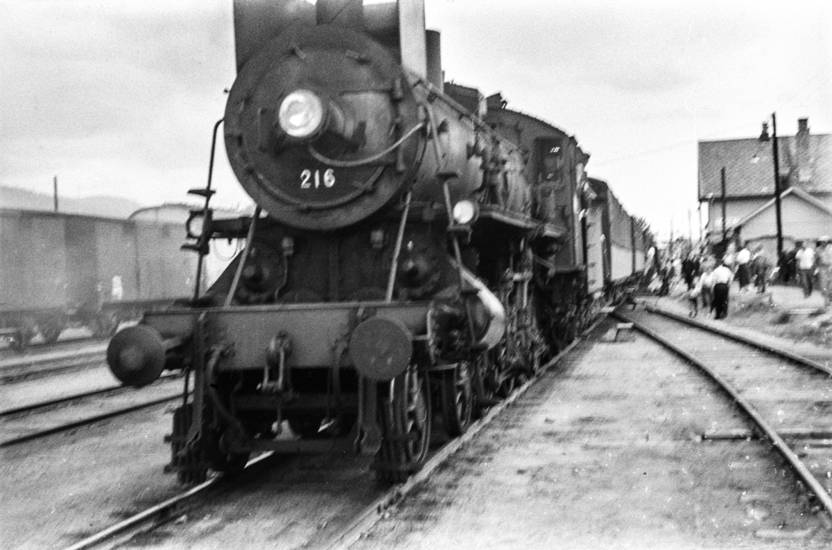 Damplokomotiv type 26a nr. 216 med dagtoget fra Trondheim til Oslo Ø over Røros, tog 302, på Tynset stasjon.
