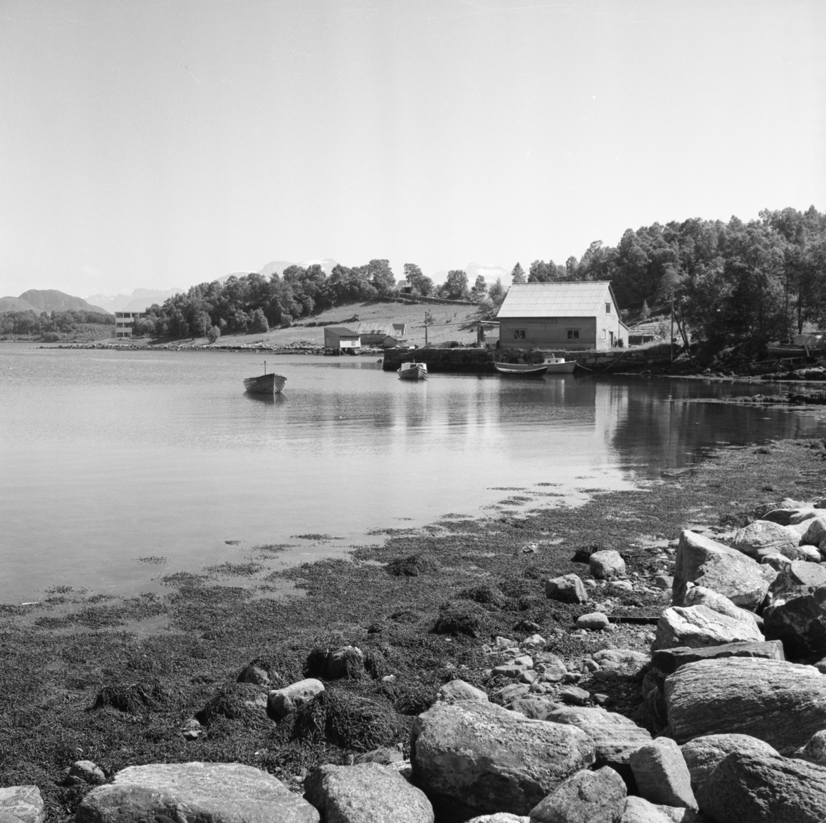 Prospektfotografi av strandlinje med naust og driftsbygninger på Sula ...