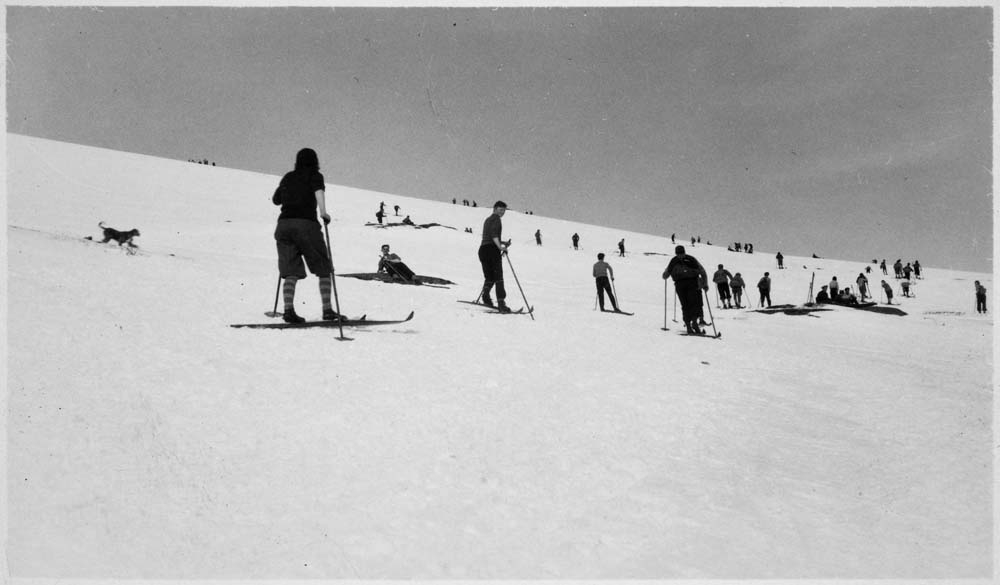 Mange folk på skitur. Antagelig bak Øyfjellet.