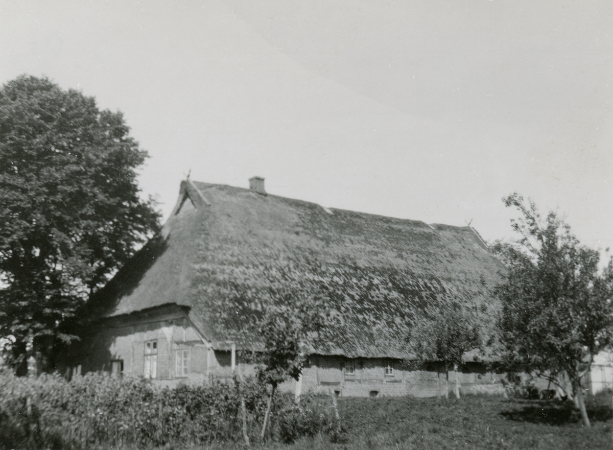 Prospektfotografi av et eldre bondegårdshus i Danmark.