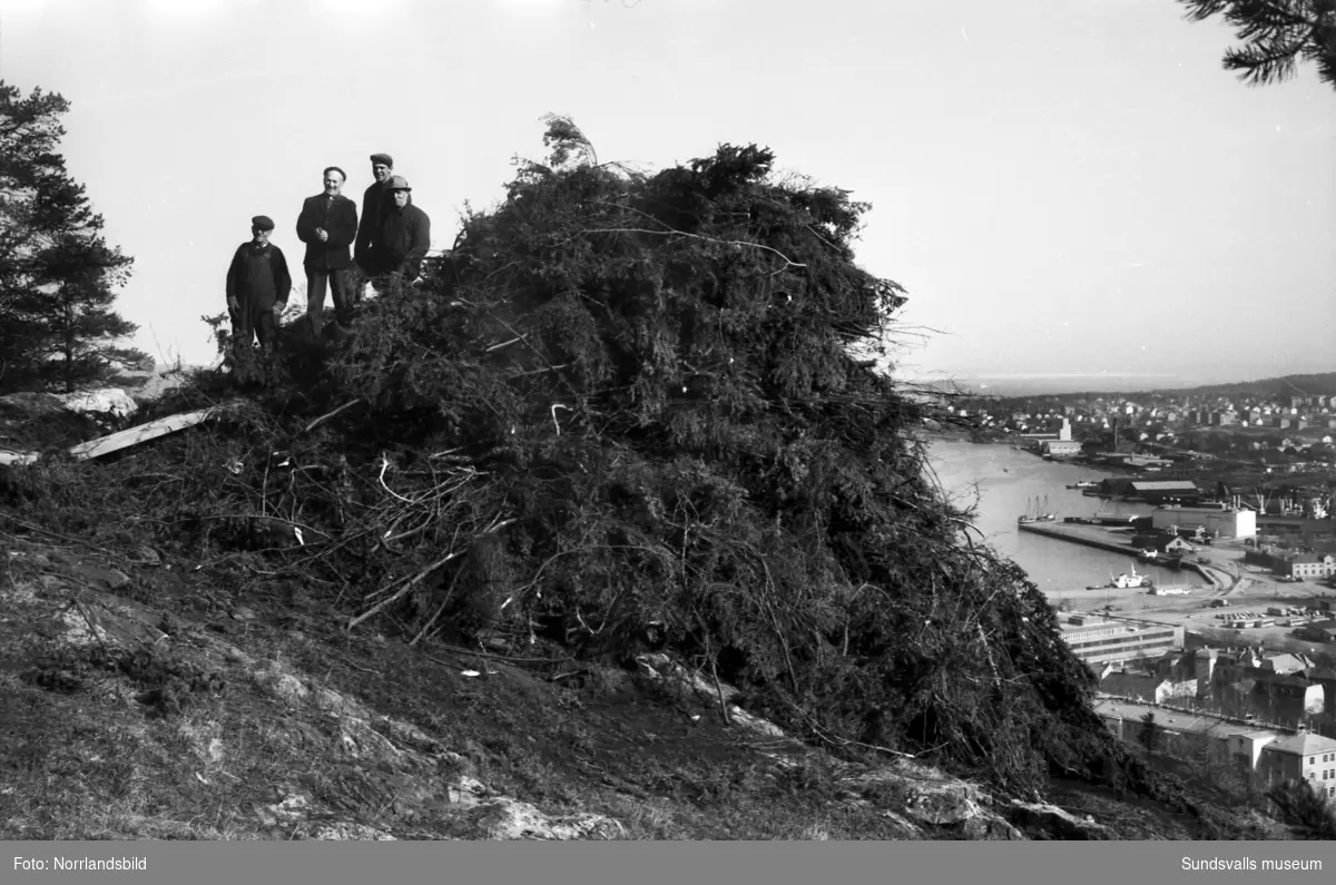 Valborgsmässoelden på Norra berget är förberedd, fyra män väntar på att få sätta fyr på bålet.