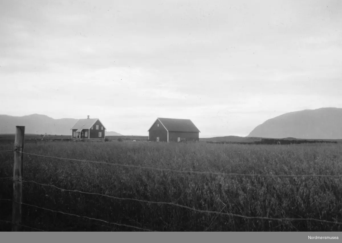 Gårdsbruk. Et bilde fra en samling fotografier med nybrott- og bureisingsfelt i Norge. Originalmaterialet tilhører Norsk myrmuseum i Smøla kommune. Fra Nordmøre museums fotosamlinger.