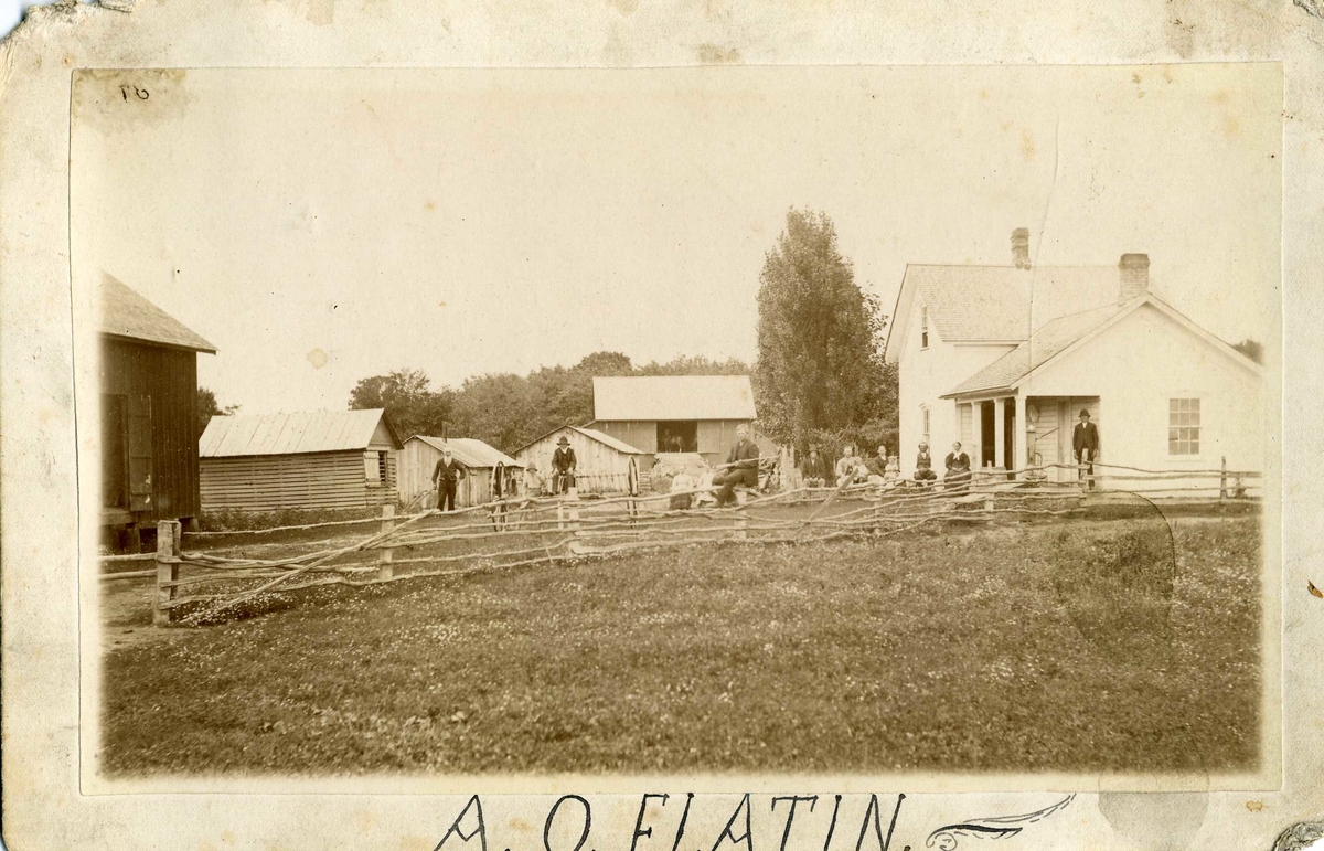 A. O. Flatin, gardstun