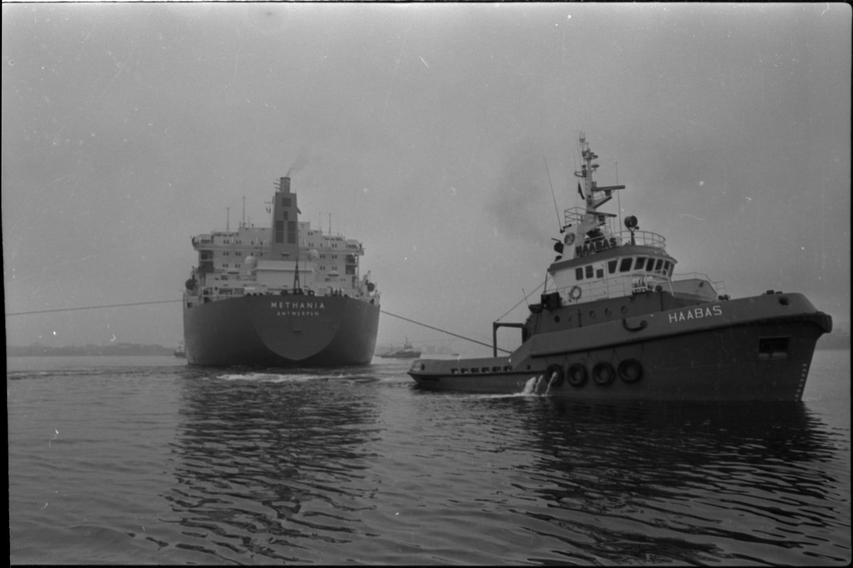 Taubåten M/S "Haabas", hjelper skipet M/S "Methania" fra Antwerpen.