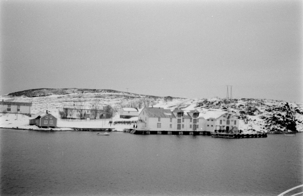 Øksningan kaia, hus og båter, mars 1977.