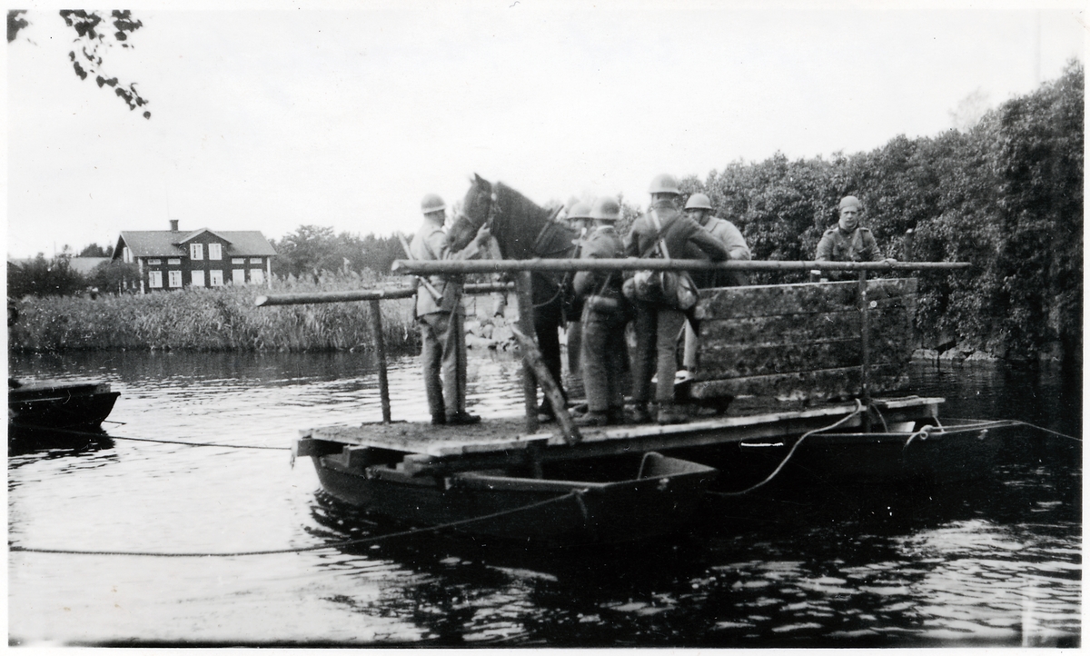 Häst transporteras över vattendrag i Gavelhyttan.