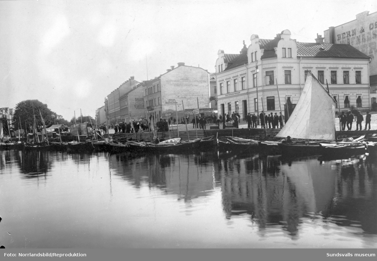Reproduktion av en bild från början av 1900-talet. Strömmingsekor i Selångersån vid Fisktorget.