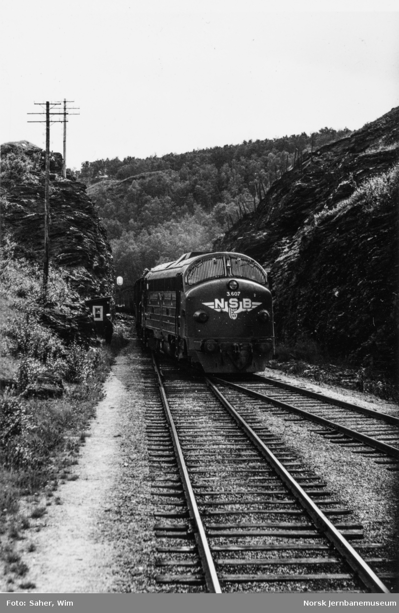 Diesellokomotiv type Di 3 nr. 607 med godstog til Trondheim kjører inn på kryssingssporet på Kongsvoll stasjon.
