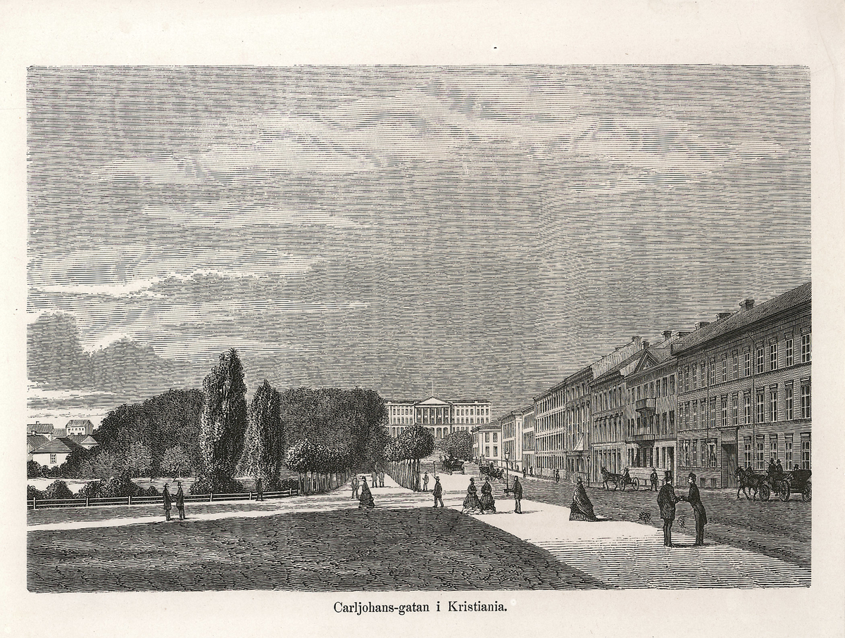 gateløp, slott, kongebolig, promenade, hest, vogn