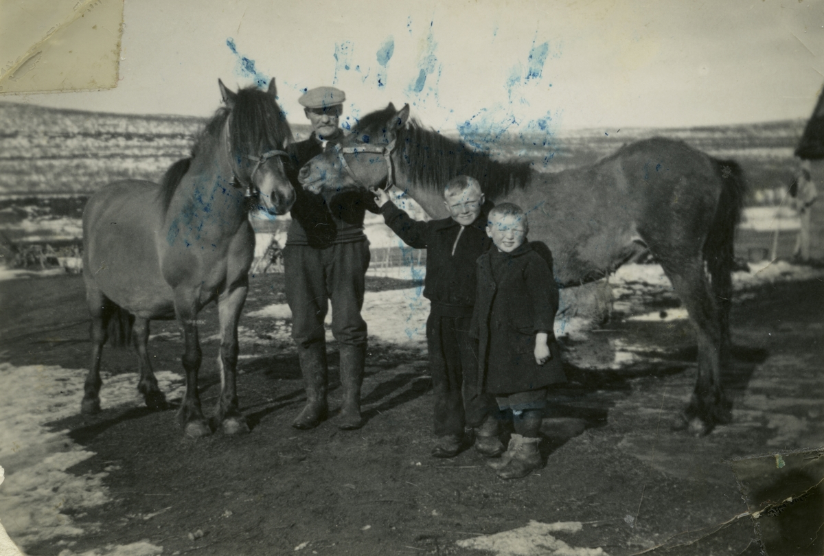 Johannes Ittelin med sønnene Fredrik og Wilhelm og to av familens hester; gamlehesten og et føll. Vestre Jakobselv 1938-39.