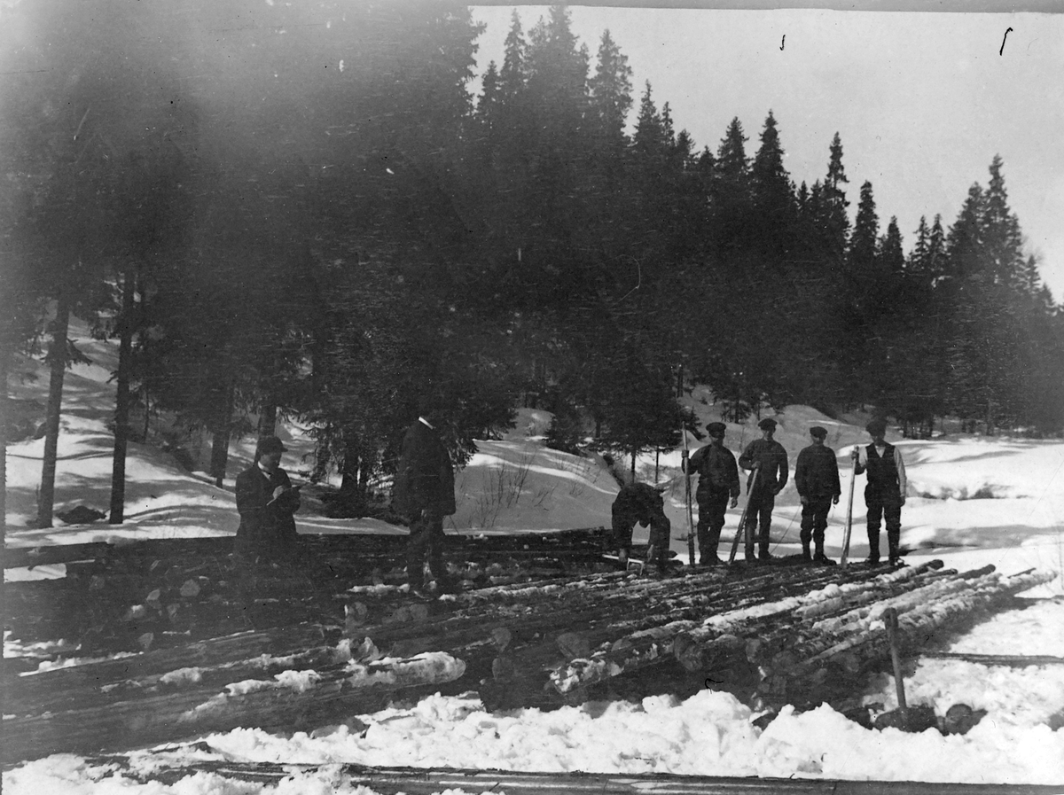Tømmerfløeting.Slip-merkinga fra Hveberg skog 1913.