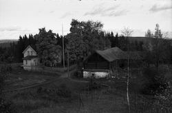 Seks bilder fra gården Gimle på Krabyskogen, Østre Toten, hø