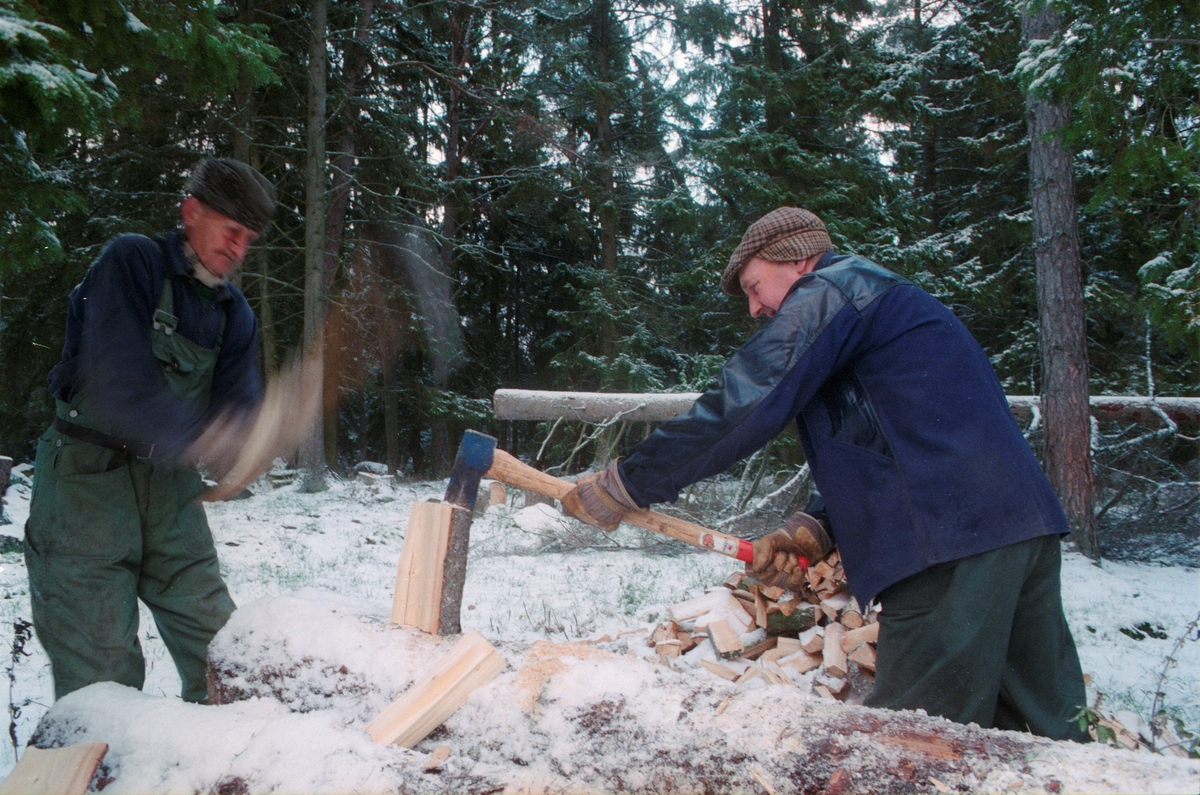 Lantbrukare Arvid och Birger Mattsson klyver ved, Lönnholmen, Gräsö socken, Uppland 1994 - 1995