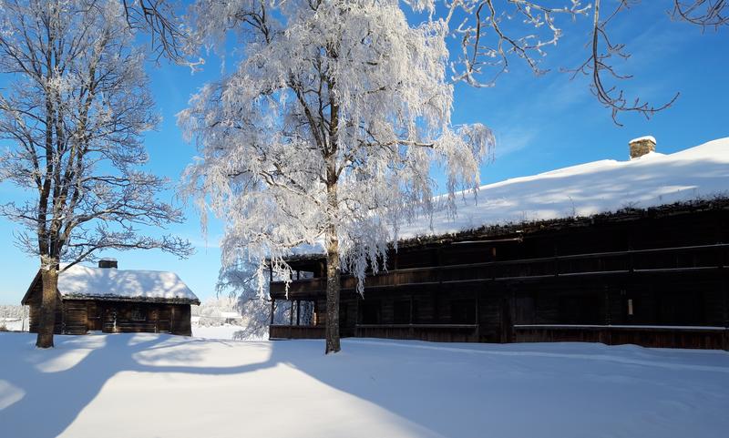 Svalgansbygning vinter 2019 cropped (Foto/Photo)