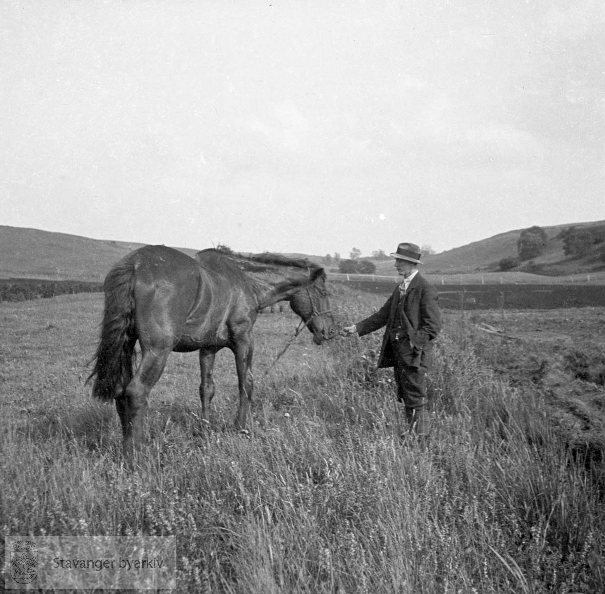 Mann og hest på åker