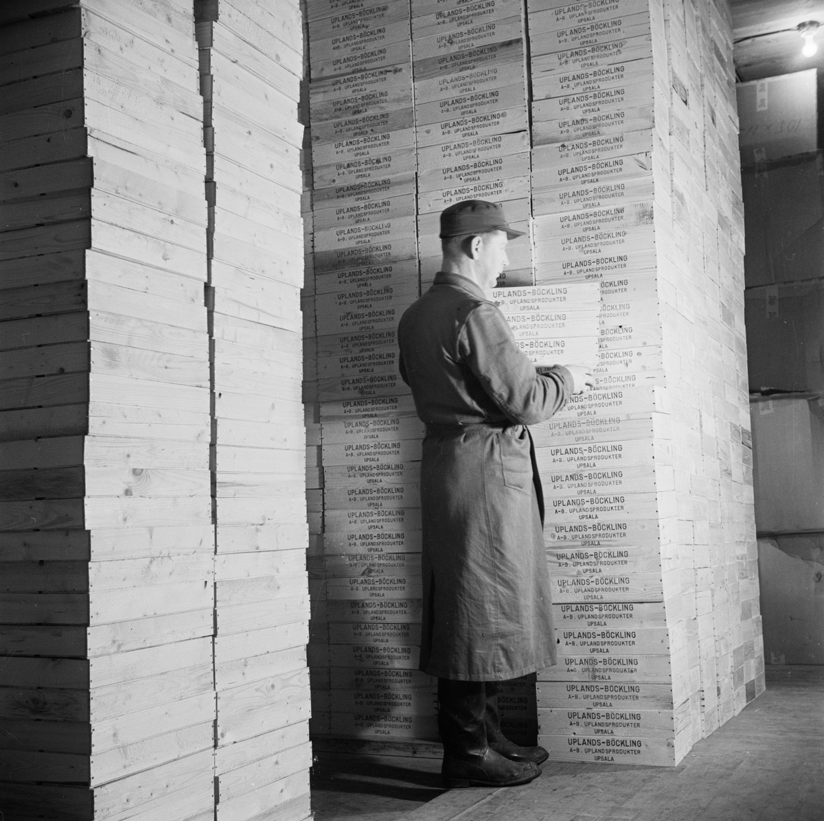 AB Uplandsprodukter, pressvisning, staplar med lådor, Uppsala oktober 1946