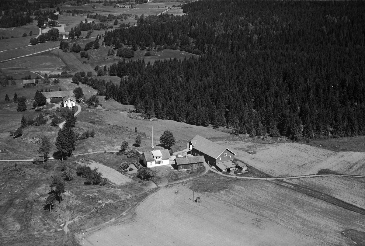 Flyfotoarkiv fra Fjellanger Widerøe AS, fra Porsgrunn Kommune. Flogstad gård Gnr. 7 Bnr. 1 og 2, Bjørkedalen, Eidanger . Fotografert av Vilhelm Skappel, 14.06.1953.
