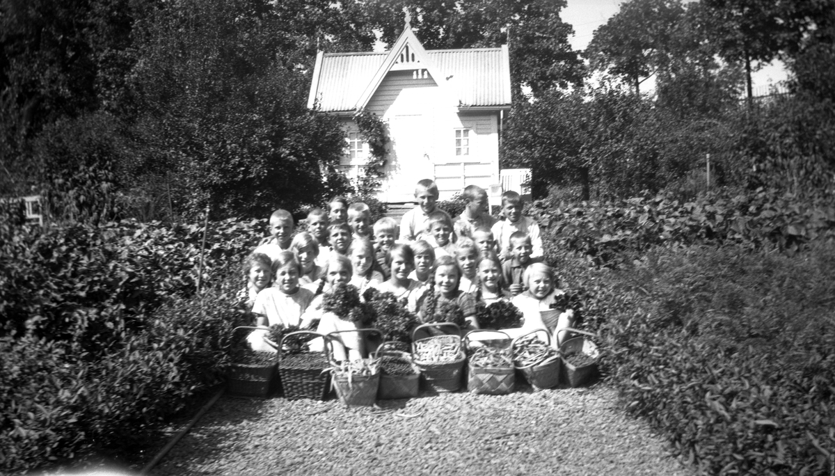 Skoleelever fra Skøyen skole oppstilt med grønnsaker i skolehagen på Hengsengen, Bygdø Kongsgård, ca. 1920.