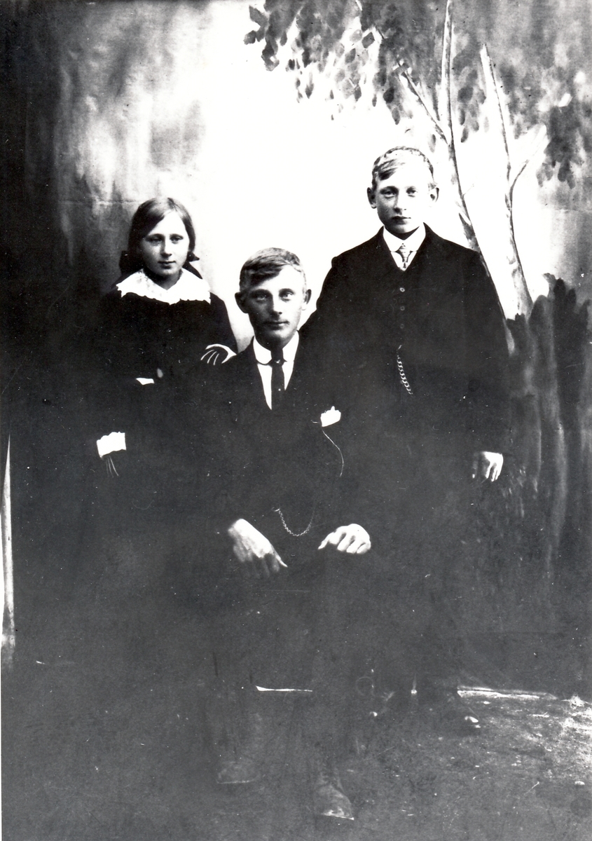 Inga, Magnar og Harald Hanssen, Lemmingvær, Senja  ca 1915.