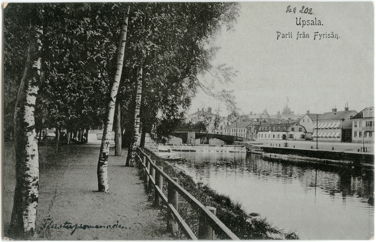 Vykort - "Parti från Fyrisån" med "Flustretpromenaden", hamnen med Islandsbron i bakgrunden, Uppsala omkring 1900