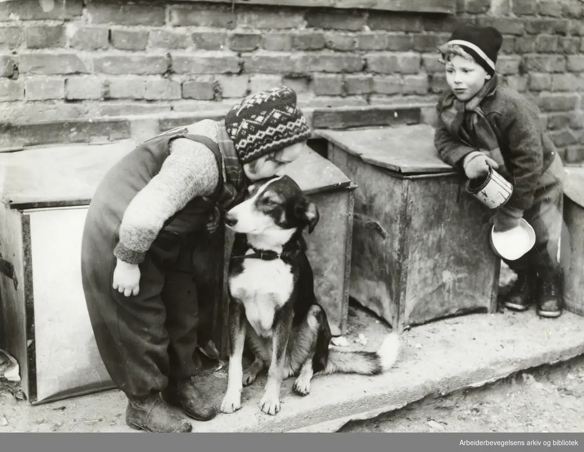 Barn med en hund i et gårdsrom i Jens Bjelkes gate, mars 1949