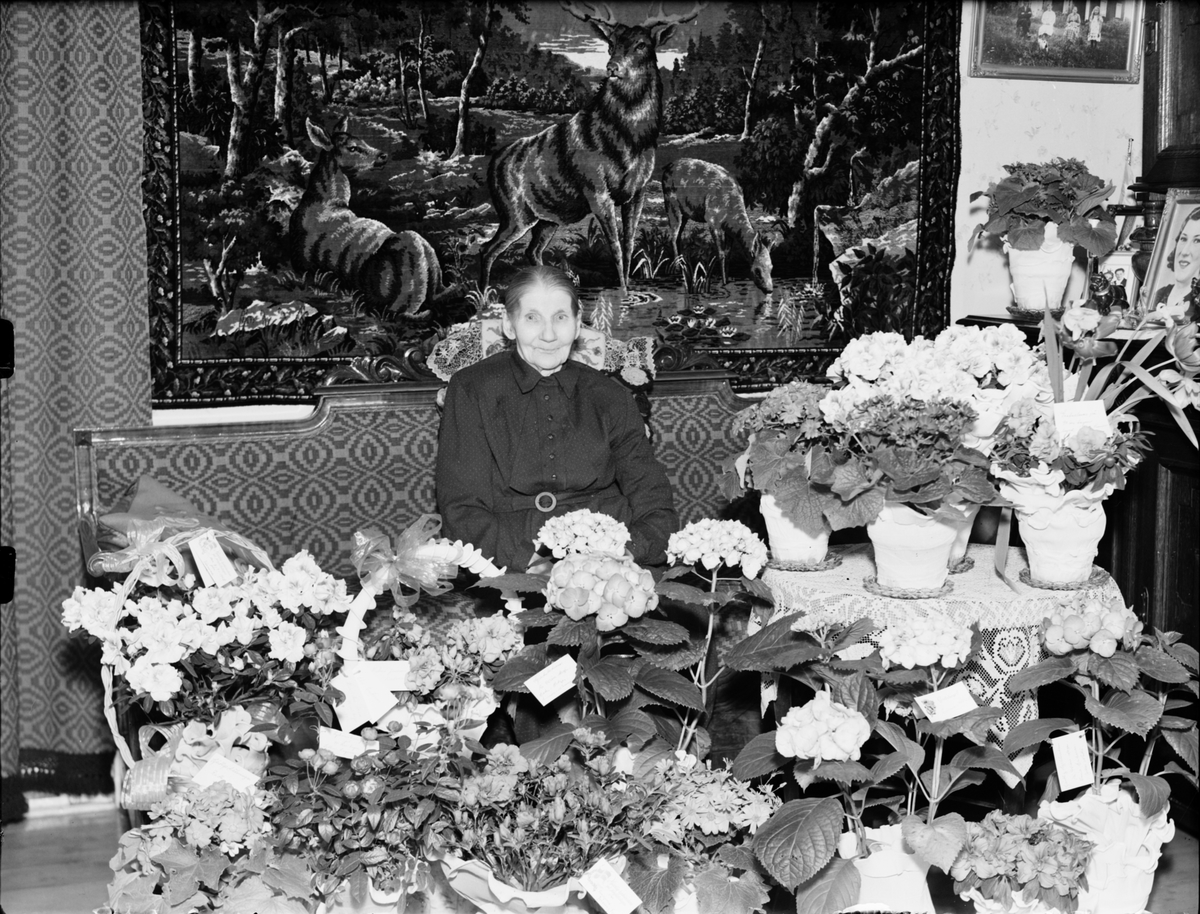 Kvinna i hemmiljö omgiven av blommor, Östhammar, Uppland,