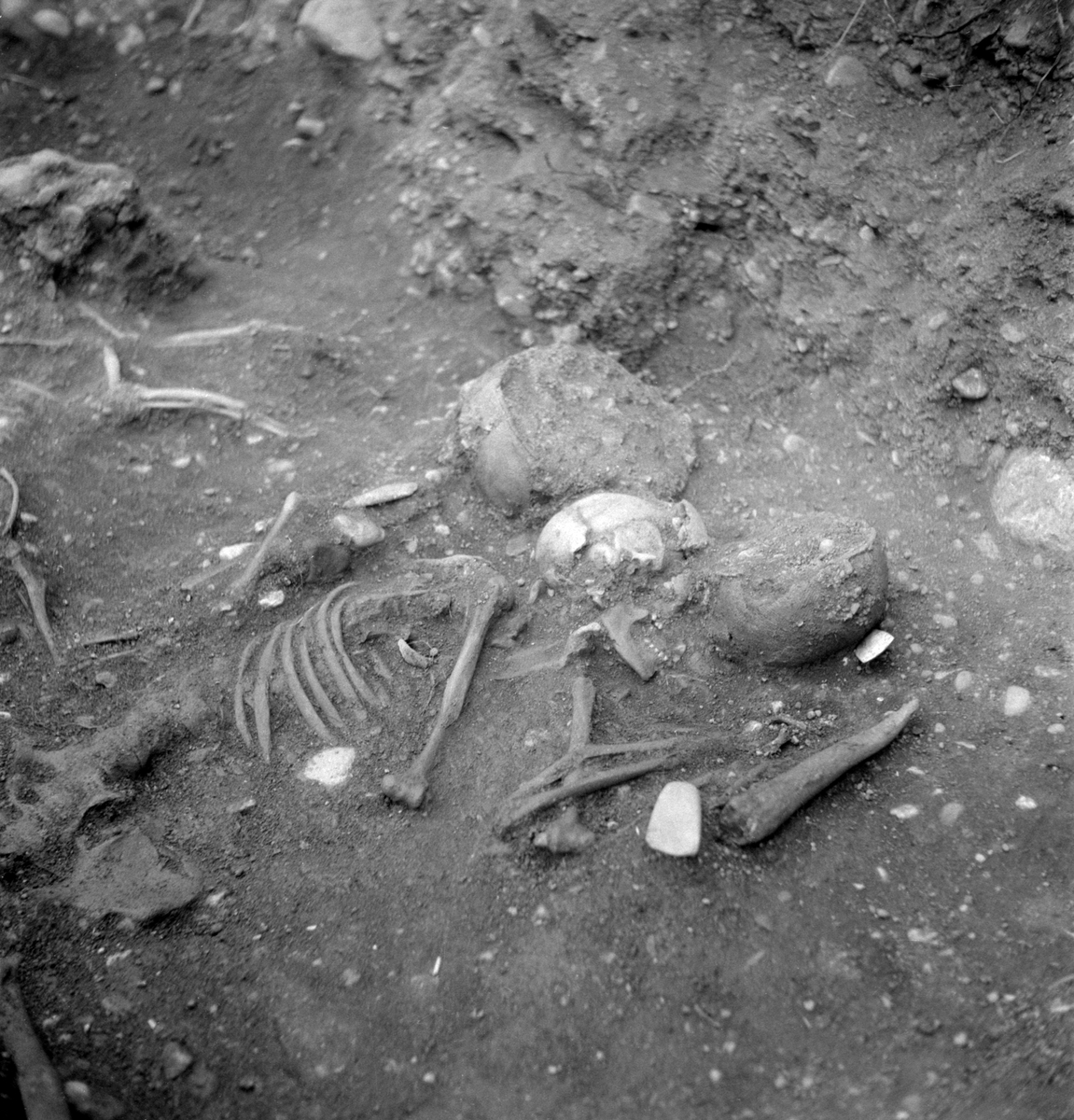 Hösten 1953 gjordes i samband med ombyggnad av vägen mellan Linköping och Vreta kloster, upptäckten av en omkring 4500 år gammal dubbelgrav . Undersökningen genomfördes längs perioden 16-28 november under ytterst ogynnsamma väderleksförhållande med stark kyla, men kunde slutföras väl med stöd av vägentreprenörens hjälpsamhet med anordningar för uppvärmning av arbetsplatsen. Bilden visar gravens kvinnliga skelett med hennes gravgåvor. Bakom kvinnan ses skelettet efter en hund. De små benen mellan tassarna skulle senare tolkas vara rester efter ett spädbarn. Gravens manliga skelett är utom bild.