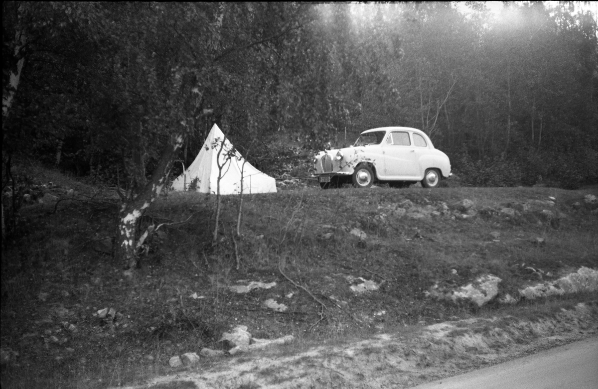 Teltslagning nærmest i vegkanten, trolig et sted i Gudbrandsdalen. Bilen tilhører Ole Majer, så her er nok han og Sigurd Røisli på tur.