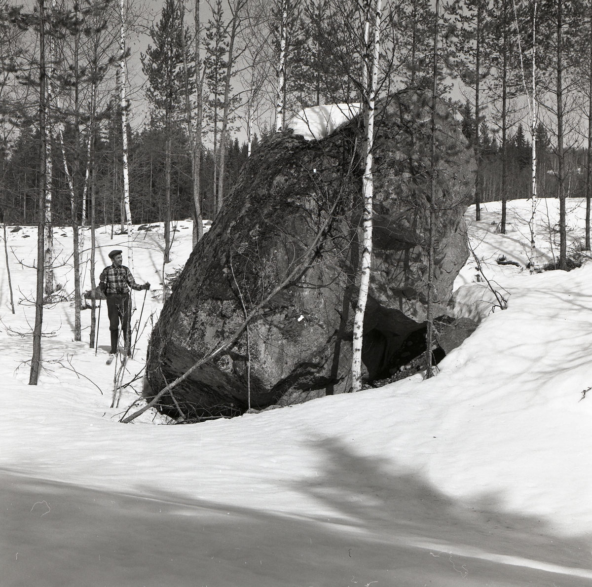 En man med skidor och stavar står och tittar på ett stort stenblock i Kronskogen, 27 april 1986.