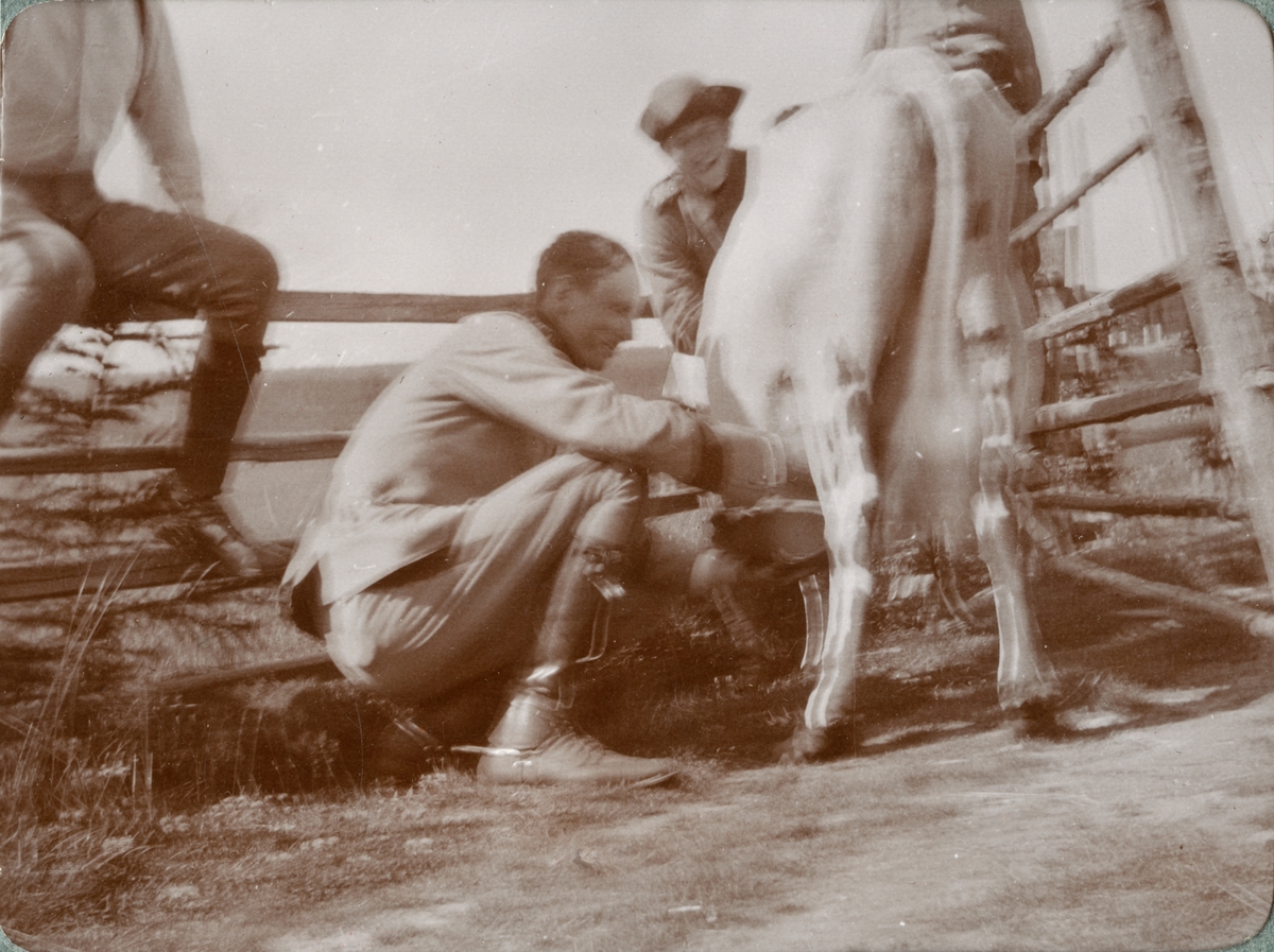 En soldat mjölkar en ko.