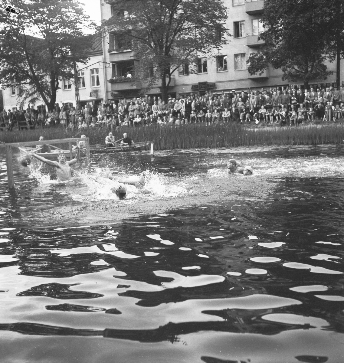 Vattenpolotävling mellan IK Sirius och Australien, Uppsala 1952