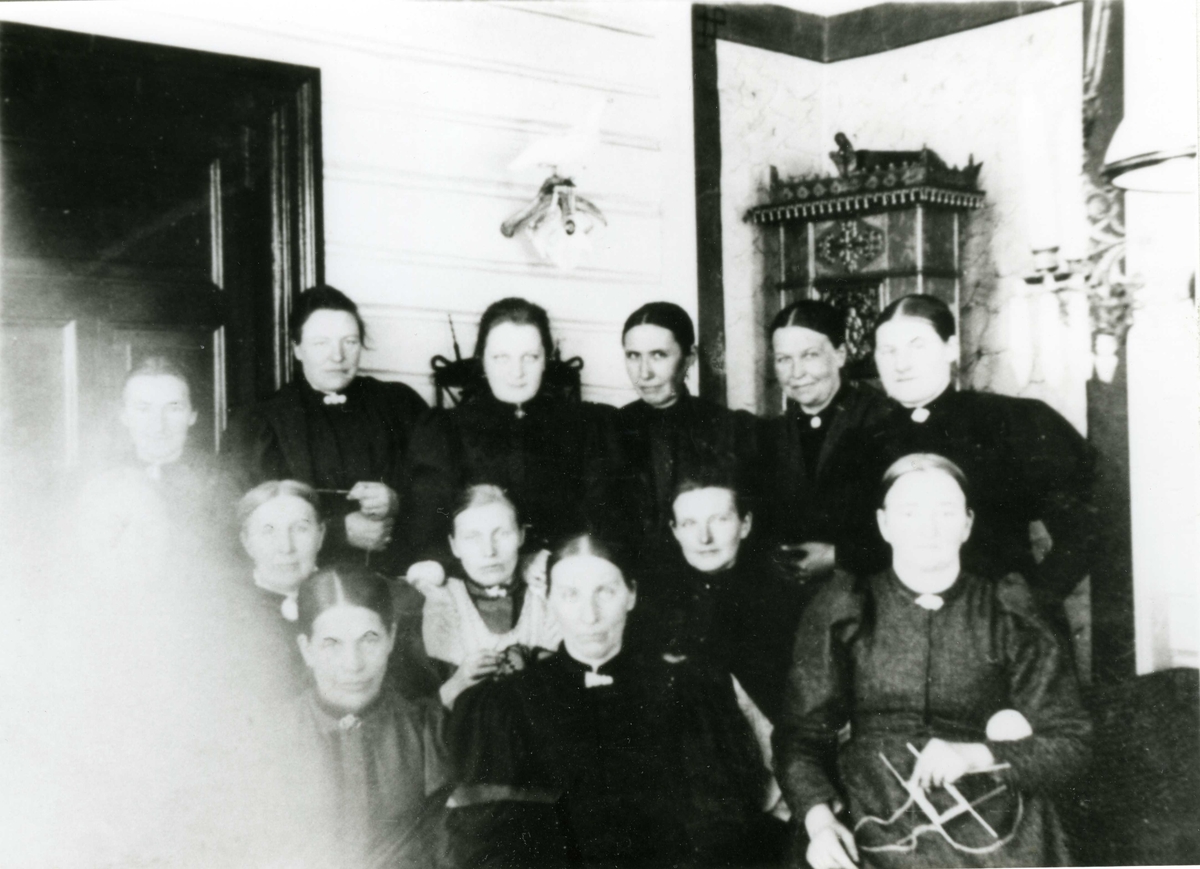 Kvinneforening ca. 1898-1900