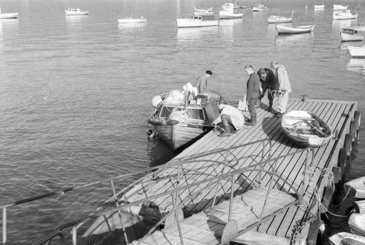 Tittel på filmrull: Bobleanlegg Ranfjorden september 1962.
