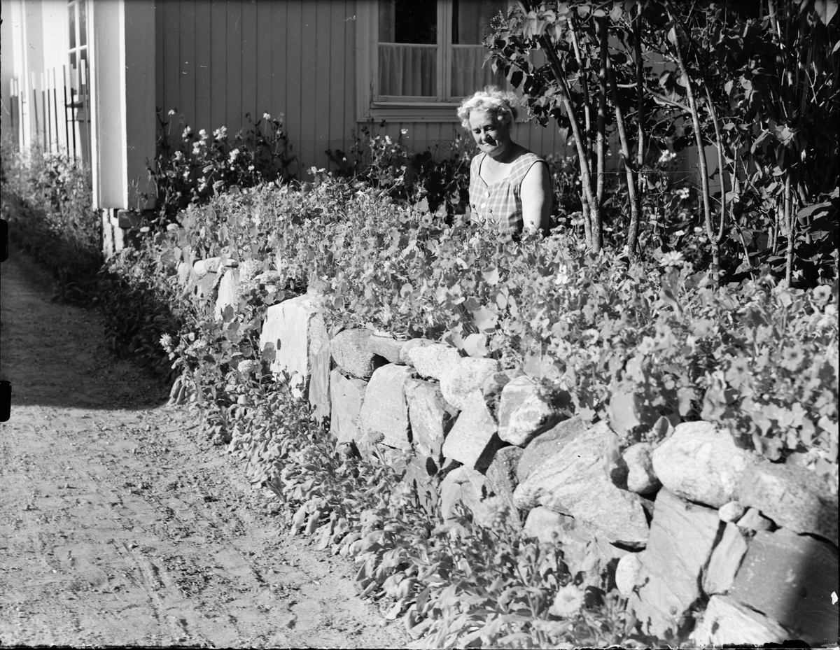 Kvinna vid stenmur, Östhammar, Uppland