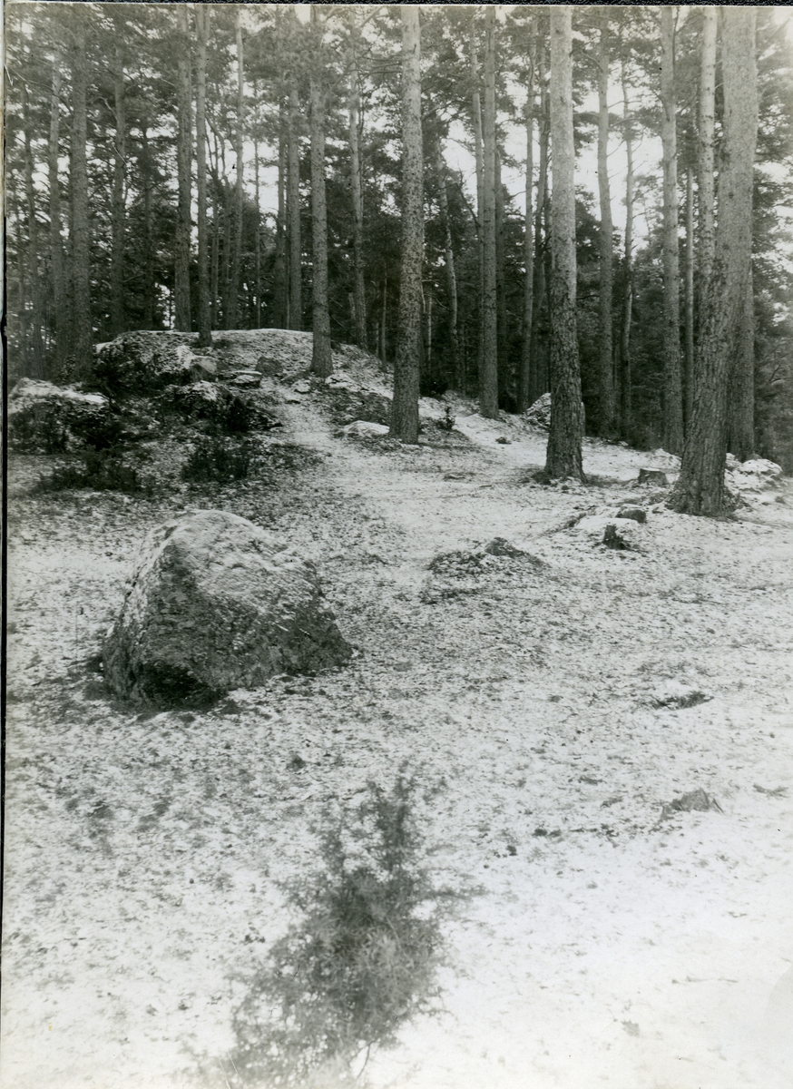 Trumslagarbacken, Västerås.
Jättestig med gravhög i "Trumslagareskogen", Vallby nr 4:1.
Taget från norr mot söder.