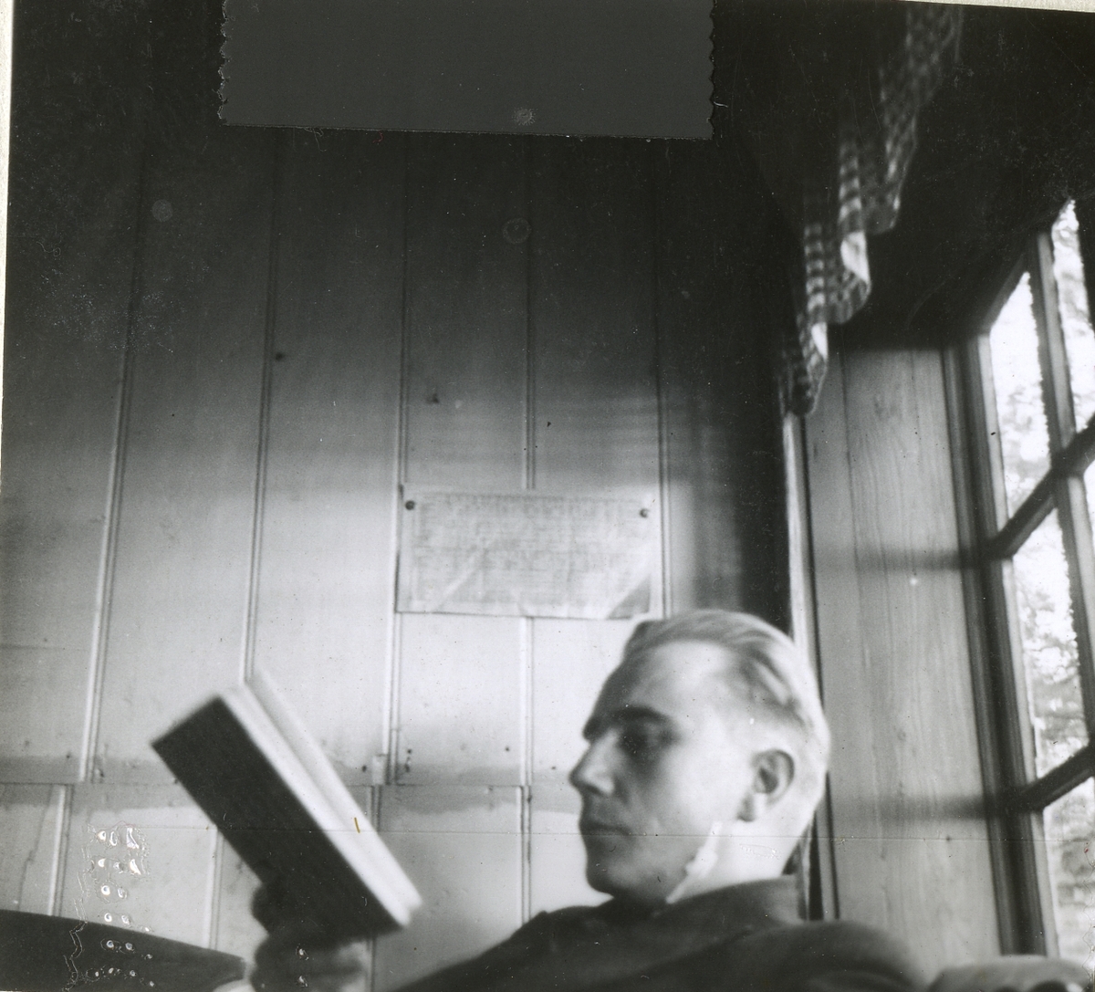 Portrett av Bjørn Hammer som leser ved lyset fra et vindu.