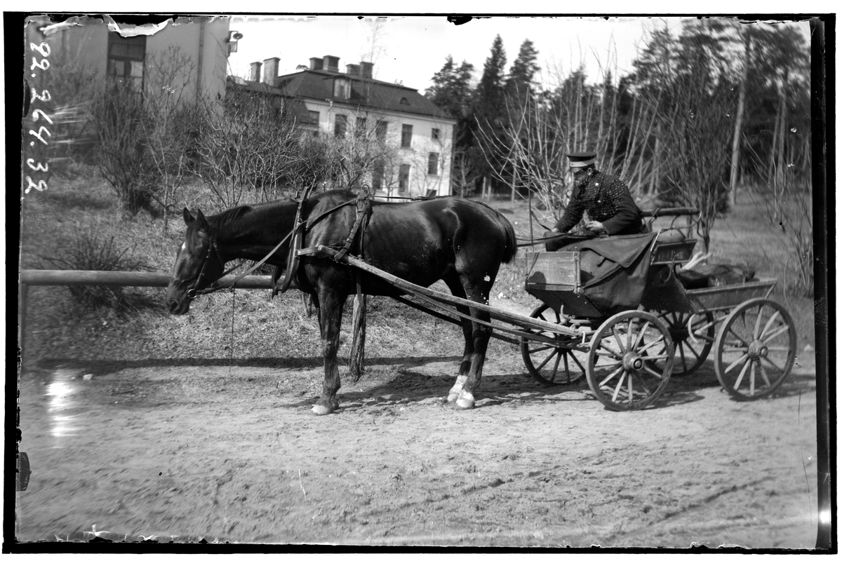 Hålhults sanatorium, exteriör, häst med vagn, sanatoriebyggnad i bakgrunden kusken Karl Palmer?