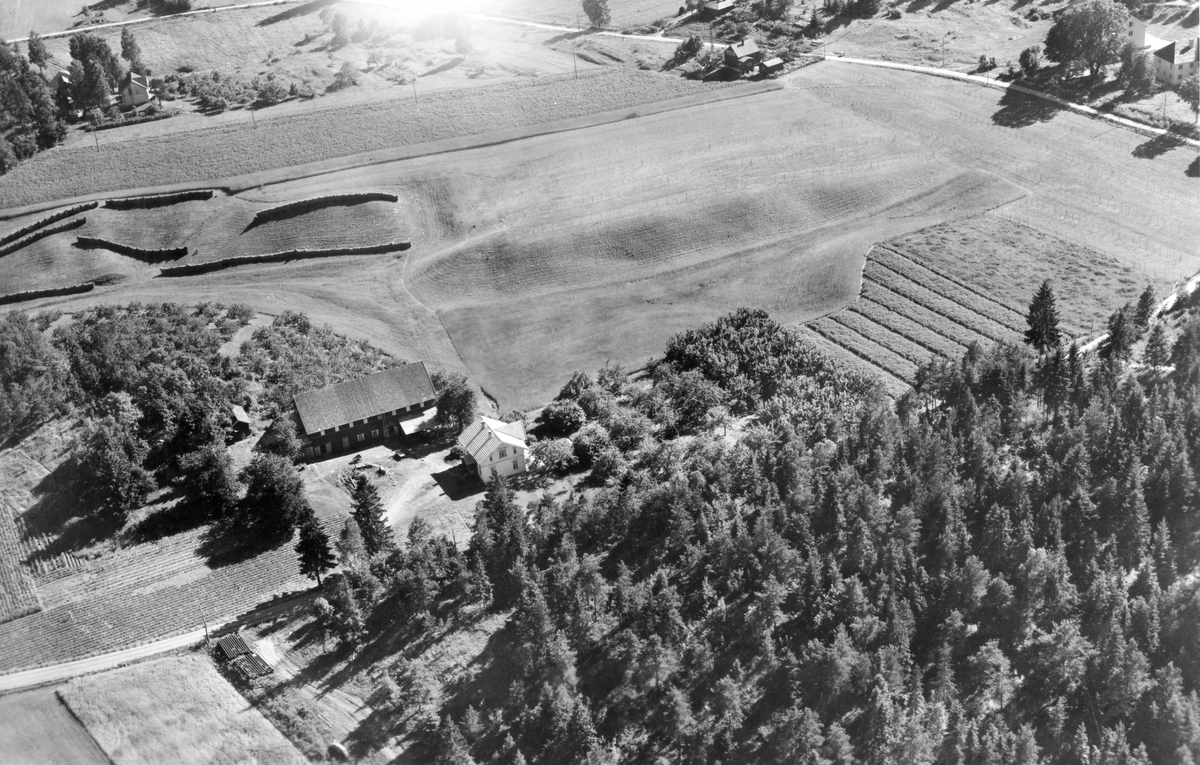 Flyfotoarkiv fra Fjellanger Widerøe AS, fra Porsgrunn Kommune, Østre Teveten Gård. Fotografert 30/07-1951. Fotograf Otto Hansen