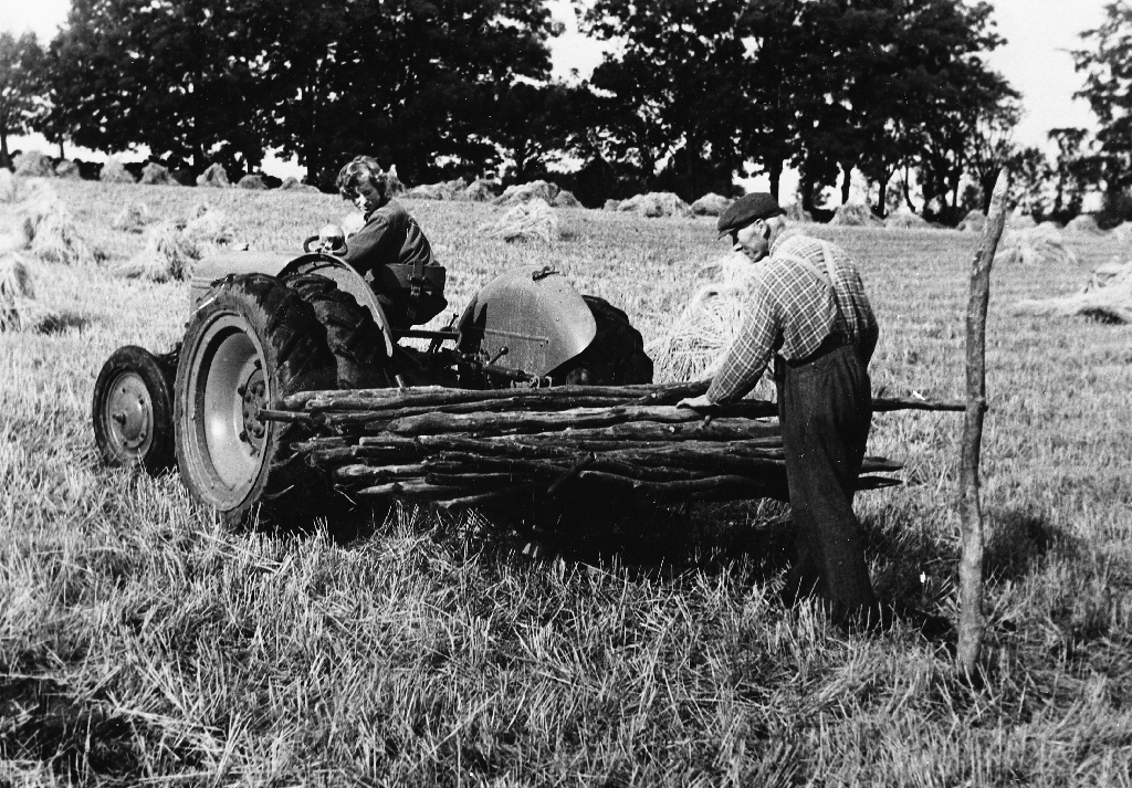 Kornhesjing på Njå. På traktoren (Ford) sit Gudveig Njå Rødland (1934 - ). Bak står Gabriel Olson Njå 1889 - 1983)