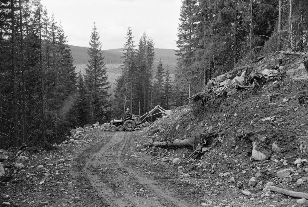 Bygging av skogsbilveg i Hurdal i Akershus, antakelig i 1962. Fotografiet er tatt nedover langs vegbanen i skrånende terreng omgitt av granskog. Et stykke nede i vegen ser vi en traktorgravemaskin som sto på tvers av vegbanen, mens maskinføreren arbeidet med å forme skjæringa på oversida av vegen. Under planlegginga av skogsbilveger var det et viktig premiss at anleggsomkostningene skulle vurderes i forhold til antatt transportgevinst, som igjen var avhengig av avvirkningskvantumet i vegenes nærområder i overskuelig framtid. Det var åpenbart at anleggskostnadene ville variere etter hvilken kvalitet vegen skulle få, etter hvordan terrenget var og etter hva slags mark den skulle legges på. Billigst var det å legge vegene der det var bæredyktige løsmasser. Morenegrunn, som det finnes mye av i norske skoger, ble ansett for å være ideell, for på slikt underlag kunne en få et stabilt veglegeme ved å bruke stedegne masser. Morenemassenes stabilitet innebar også at man kunne ha ganske bratte skjæringer uten overhengende fare for at fuktmettede ovenforliggende masser raste inn i vegbanen når snøsmeltinga og teleløsningen om våren.