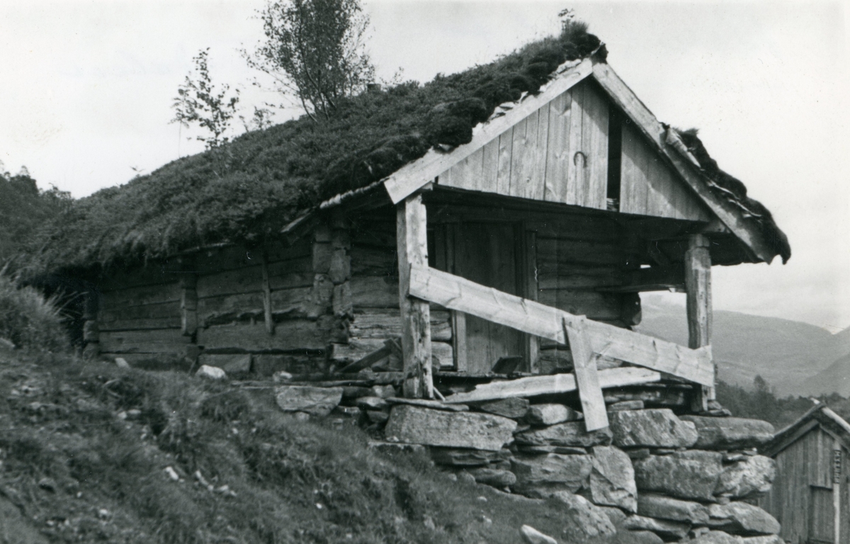 Eldre dokumentasjonsfotografi av et tømmersel, Morisselet, i Laurdalen(Lauvdalen?), Volda. En mann med stokk står foran selet.