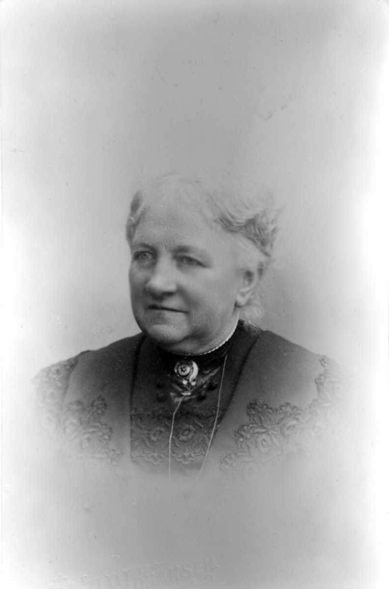 Portrett av kvinne - Hanna Hjort, født Aas 1843